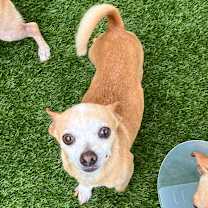 Thumbnail photo of Carl 5870 #2