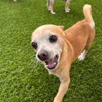 Thumbnail photo of Carl 5870 #4