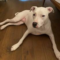 Thumbnail photo of Lily #3