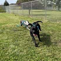 Thumbnail photo of Rhea Ripley #2