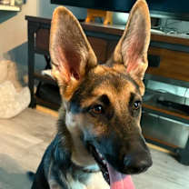 Thumbnail photo of Lilly #3