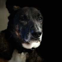 Thumbnail photo of Esther #1