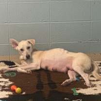 Thumbnail photo of Edna 0961 #4