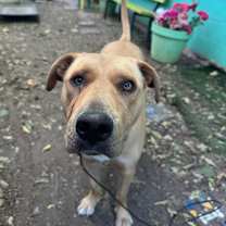 Thumbnail photo of Maisy #2