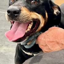 Thumbnail photo of Melanie #3