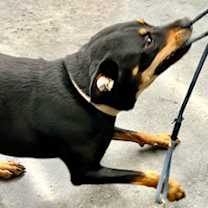 Thumbnail photo of Melanie #4