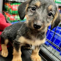 Thumbnail photo of Hudson #2