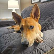 Thumbnail photo of Spiral Notebook #1