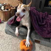 Thumbnail photo of Benjamin #1