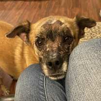 Thumbnail photo of Kimmel #1