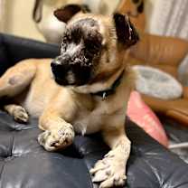 Thumbnail photo of Kimmel #2