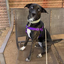 Thumbnail photo of Saucey Sauce #3