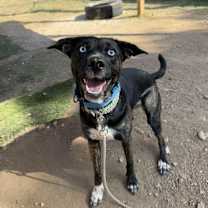 Thumbnail photo of Saucey Sauce #4