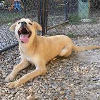 Thumbnail photo of Tabitha #1