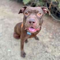 Thumbnail photo of Journey (C000-631)- City of Industry  #4