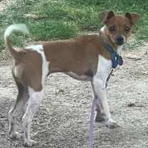 Thumbnail photo of Carley #1