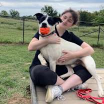 Thumbnail photo of Iggy #1