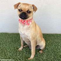 Thumbnail photo of Gladys #2