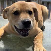 Thumbnail photo of George #1