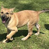 Thumbnail photo of George #2