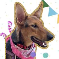 Thumbnail photo of Kelly #1