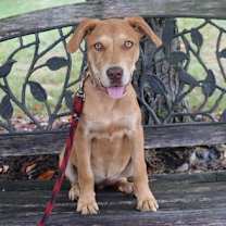 Thumbnail photo of Mam #4