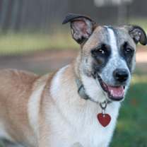 Thumbnail photo of Mystique #1