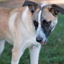 Thumbnail photo of Mystique #4