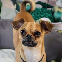 Thumbnail photo of Portland #2