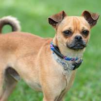 Thumbnail photo of Portland #3