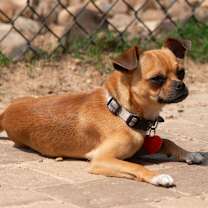 Thumbnail photo of Portland #4