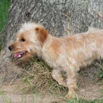 Thumbnail photo of Tune #2