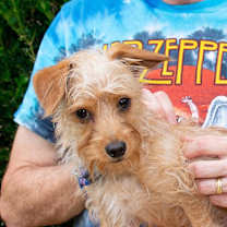 Thumbnail photo of Tune #3