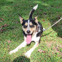 Thumbnail photo of Tracker #2