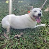 Thumbnail photo of Everest #2