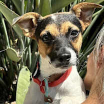 Thumbnail photo of Hunnicut #1