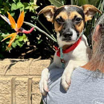 Thumbnail photo of Hunnicut #3