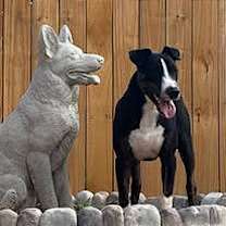 Thumbnail photo of Mr. Clean #1