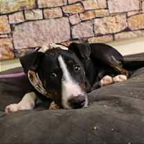 Thumbnail photo of Mr. Clean #2