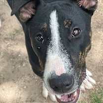 Thumbnail photo of Mr. Clean #3