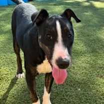 Thumbnail photo of Mr. Clean #4