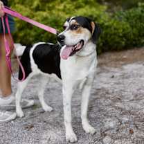 Thumbnail photo of Freckles #3