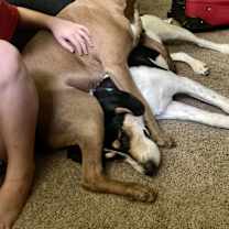 Thumbnail photo of Freckles #4