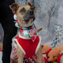 Thumbnail photo of Tina #2