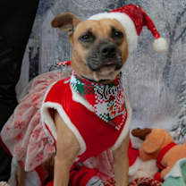 Thumbnail photo of Tina #3