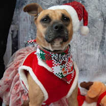 Thumbnail photo of Tina #4