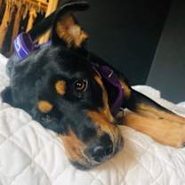 Thumbnail photo of Nellie #1