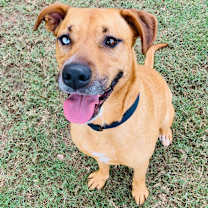 Thumbnail photo of Cristina #2