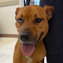 Thumbnail photo of Cristina #3