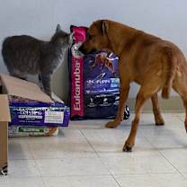 Thumbnail photo of Cristina #4